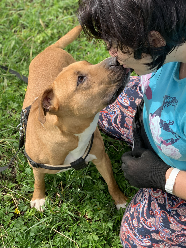 00E75974-71BC-40B9-B7B8-7B1D0ED01DEE