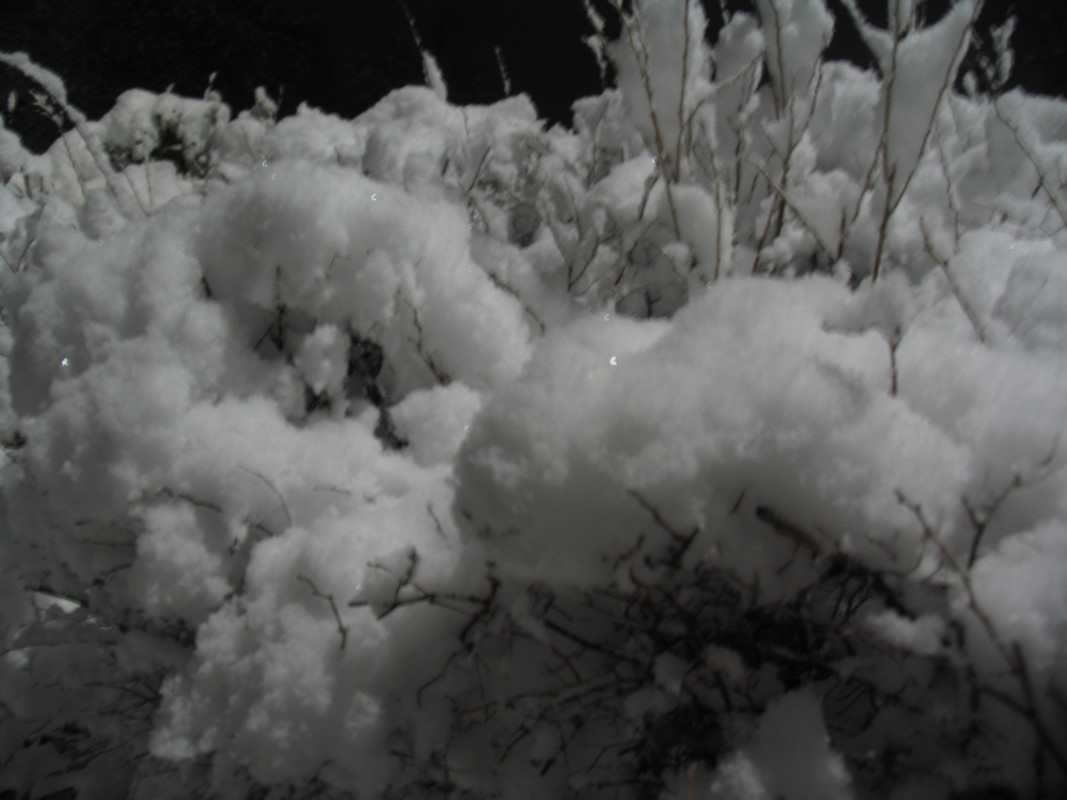 Ноябрь2023 026