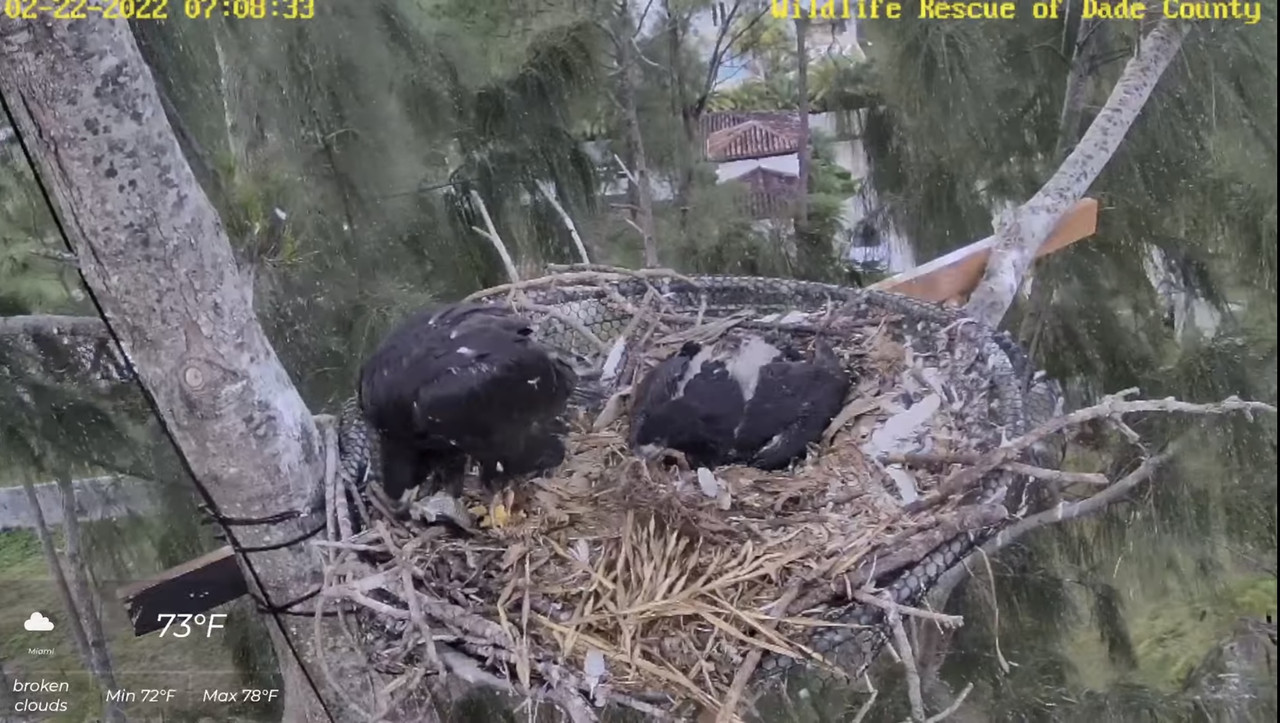 3374C82E-31FC-4D92-B6B7-9CB3D9402441