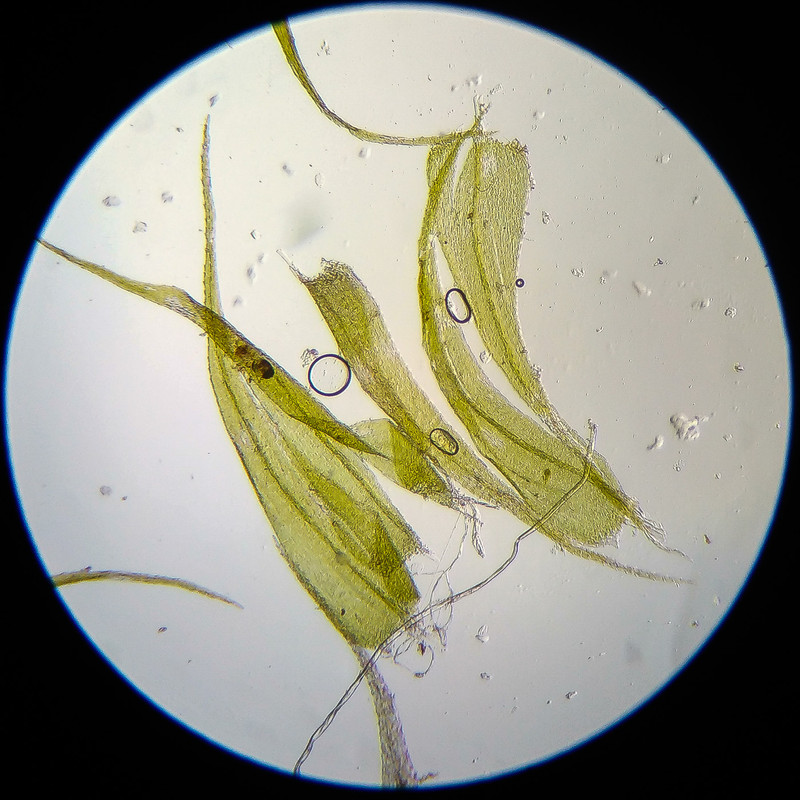 IMG 20250614 122656 HDR