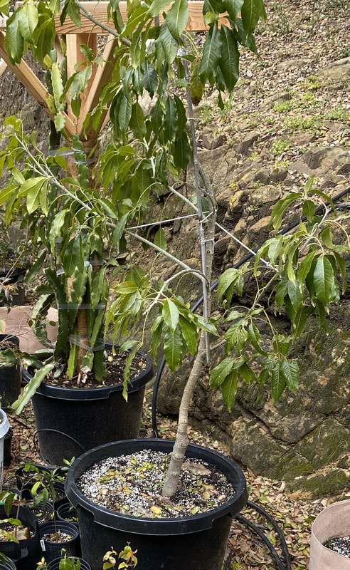 5F5AF52A-B0B1-4461-8012-EC052D0D0D91