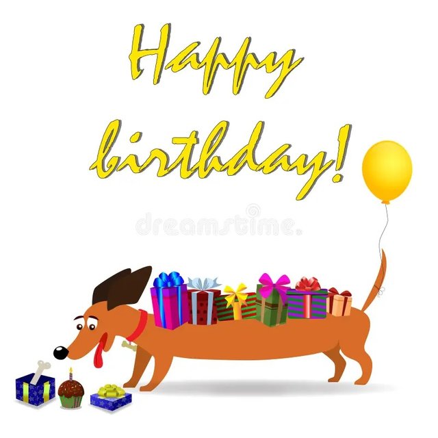 [Image: Anniversaire-teckel-57.jpg]