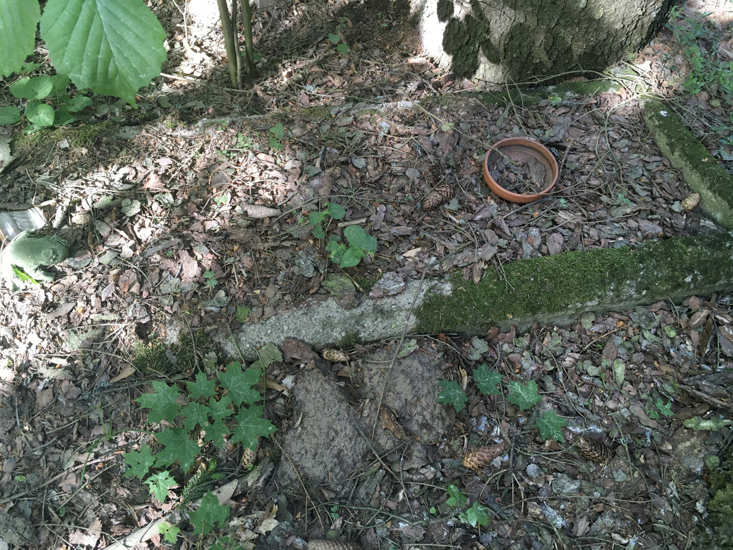 04.11 - B20C3D5D-751E-4963-8B64-2BF356DC9F52 (Eksplorator63)