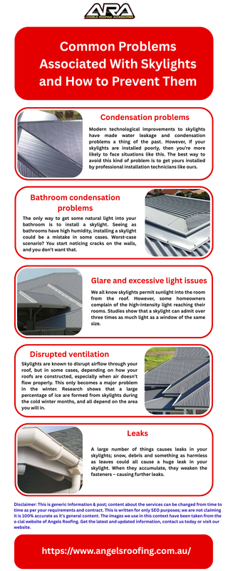 common problems associated with skylights and how to prevent them infographic