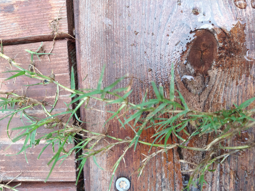 IMG_20210620_135214268