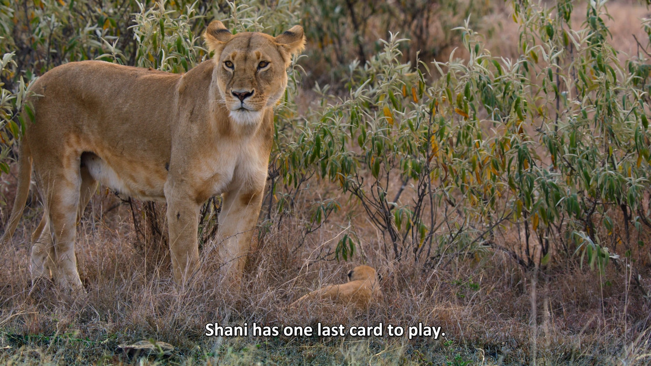 Queens  S01E01 Disney  1080p WEB DDP x264-NM21vi.mkv_snapshot_37.30.248