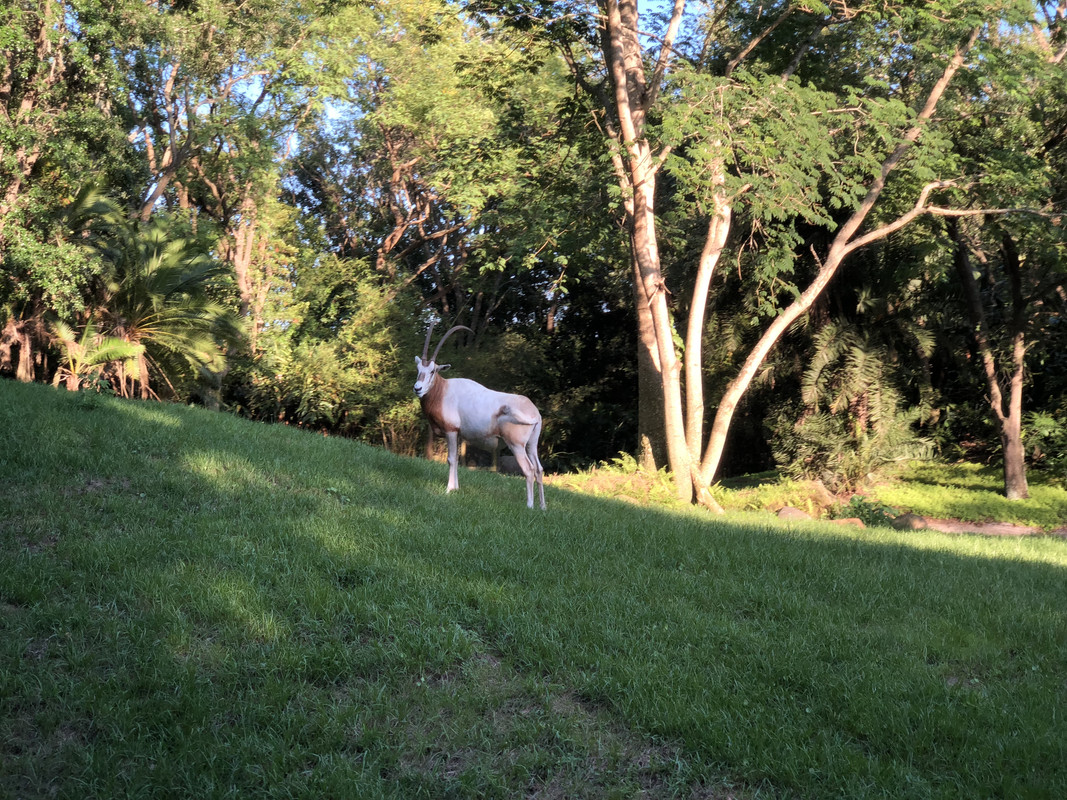 CCF09505-E820-454B-A8C1-5EE09CA29E1C