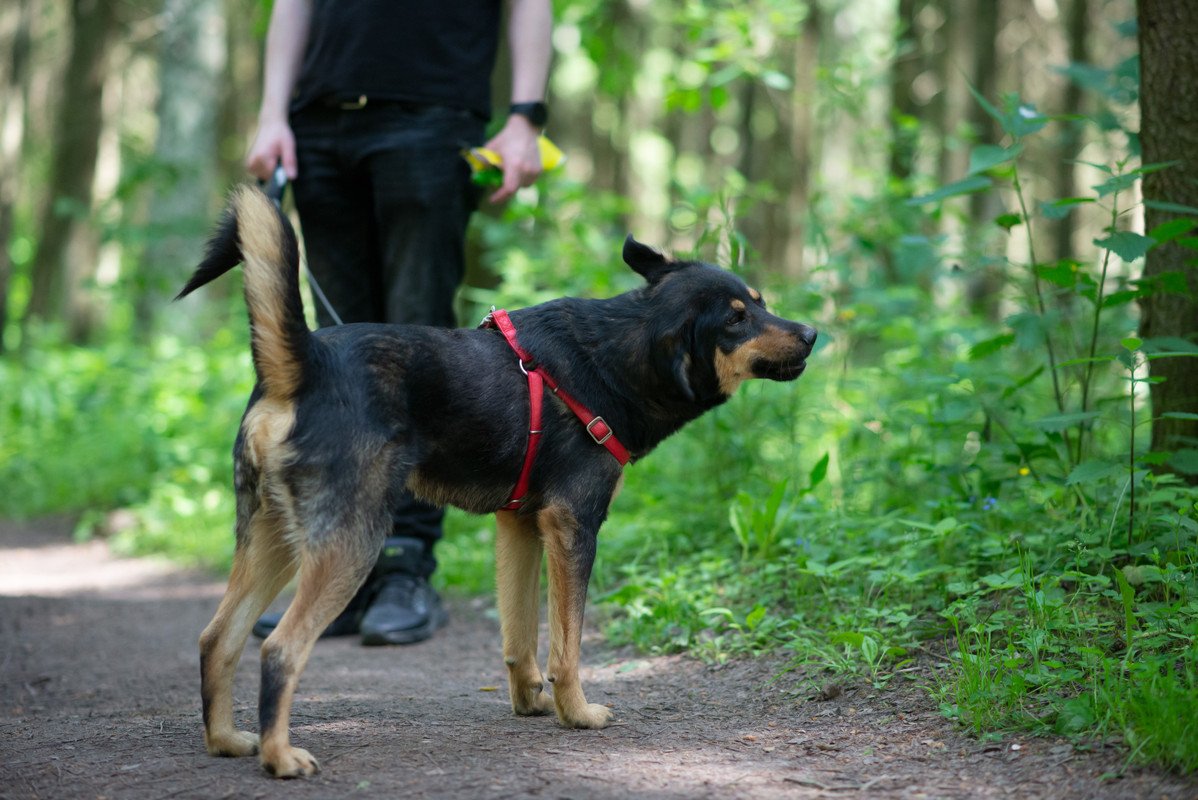 610_0654_гомель