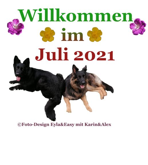 An den Beitrag angehängtes Bild: https://i.postimg.cc/jjhmJVcK/03-07-21.png