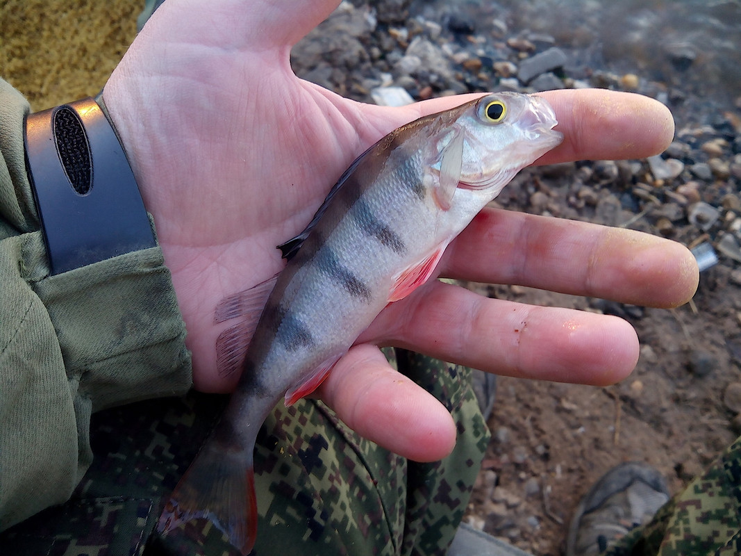 КамГЭС 11.05.15 01