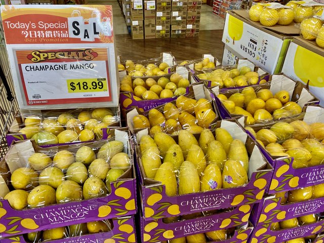 [Image: A2-B568-BD-A8-F9-4883-9732-E127-EC303454.jpg]