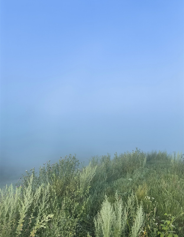 Screenshot 20260111 164217 com huawei photos edit 94131043267944