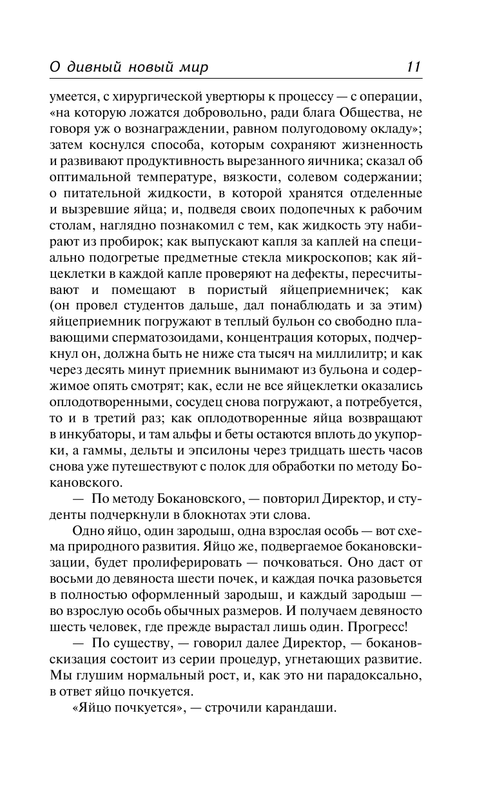 AST000000000170076-10