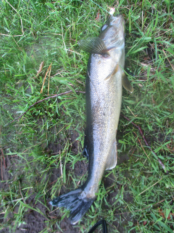 saranac river eyes 002