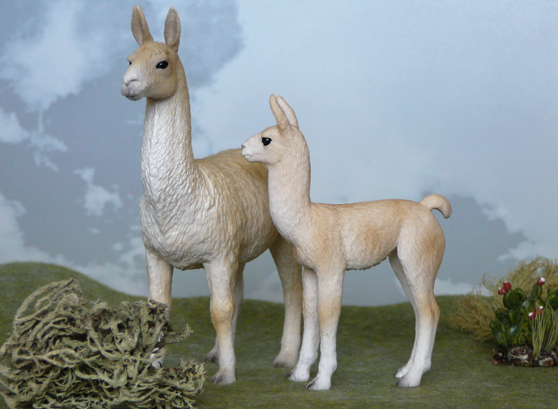 Mojö 2019 Llama and Cria- a walkaround by A.R.Garcia P1090623ed