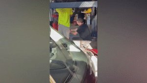 Best-Cube-169-Best-Coub-Compilation-August-2022.gif