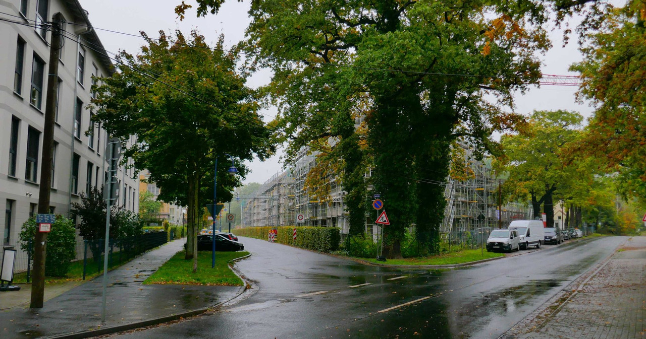 P1310263.jpg
