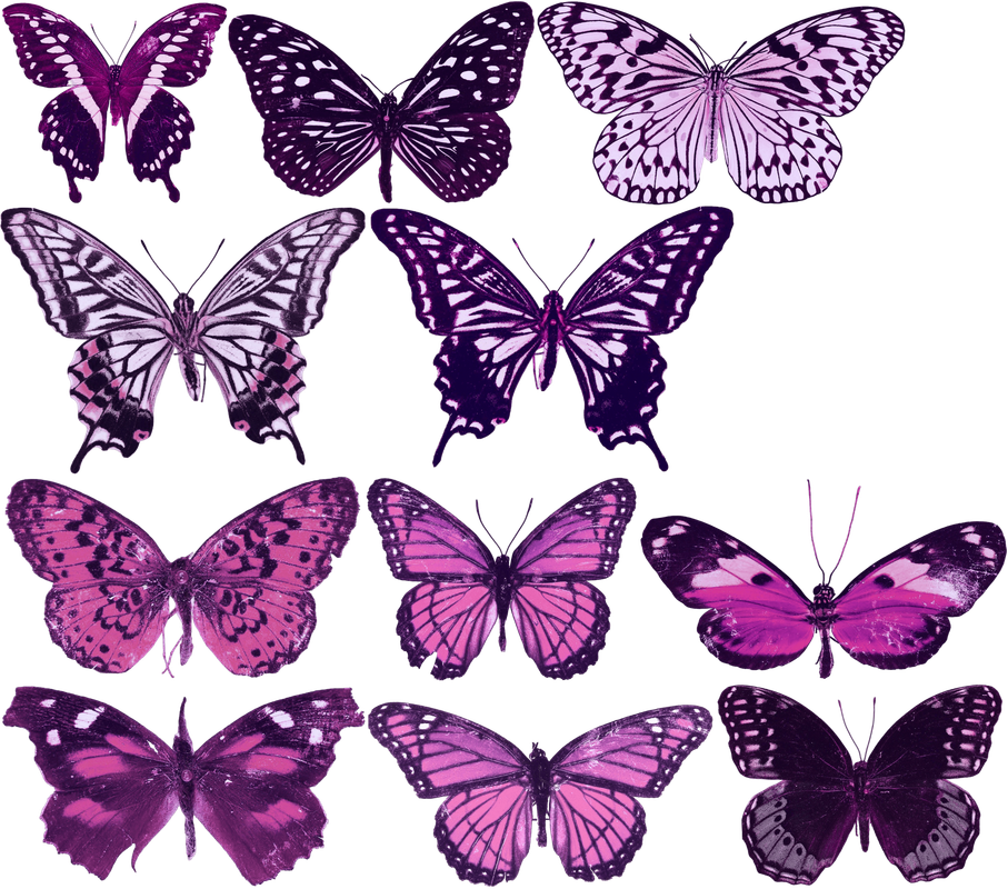 Pink Butterflies