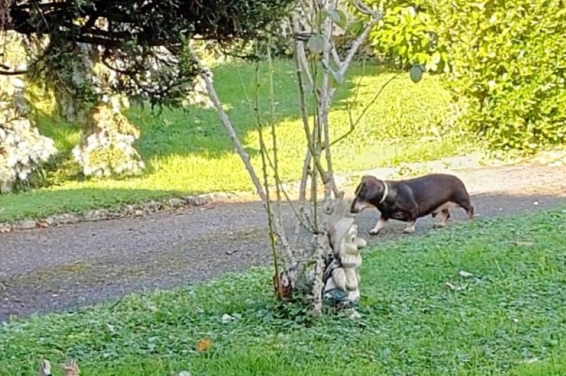 [Image: IMG-20241016-WA0000-a.jpg]