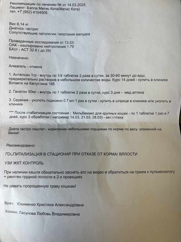 photo_5440786892250541323_y