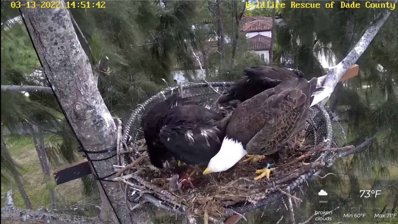 01BFF352-7CF2-4334-B3A4-F3E2C164E5ED