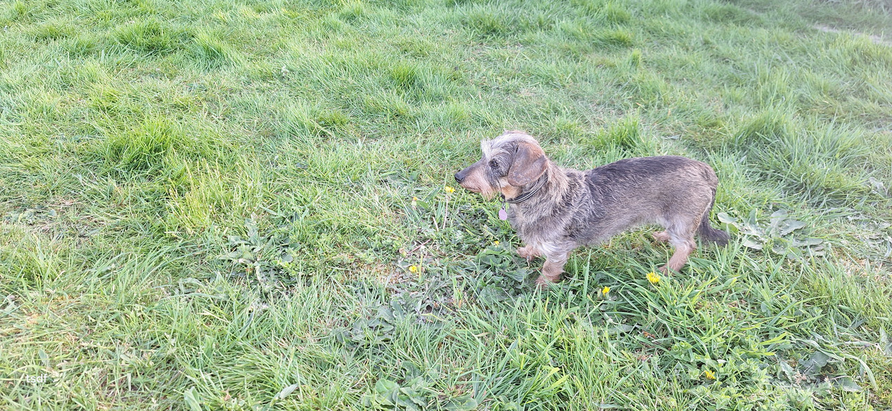 [Image: 20250411-185102.jpg]