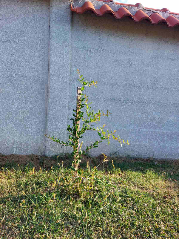 0-02-05-1f65c17a015585ca8274f481e6dc8a240867fe8321989498159edacd6057003f_d29d13dbd1427671