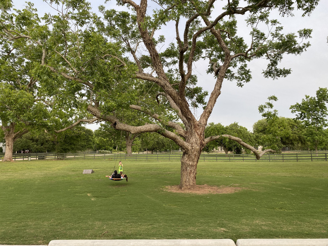 04B6BCB7-F14B-411C-B265-331E89E4464C