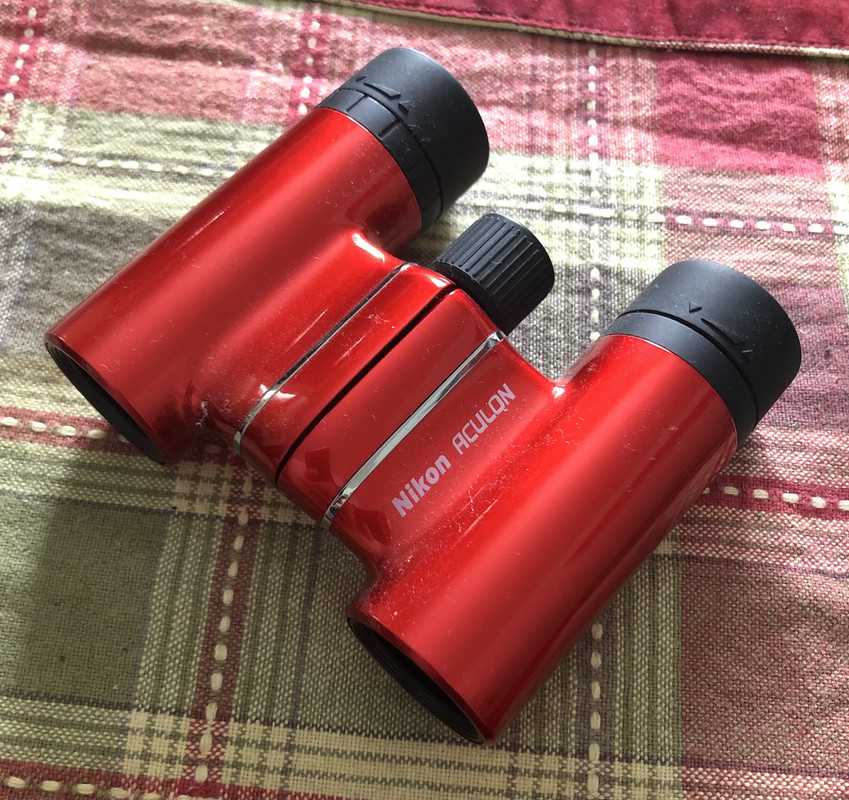 D27E2620-B554-4FEC-A289-2451B5B36B1C