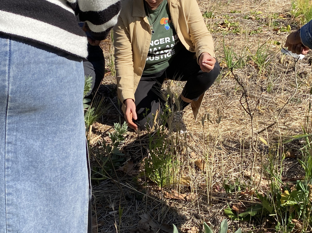 People outside looking down at plant shoots