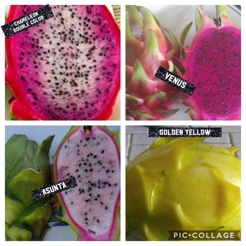 77F69C78-6088-4E92-85B2-7D3327BC5AAD