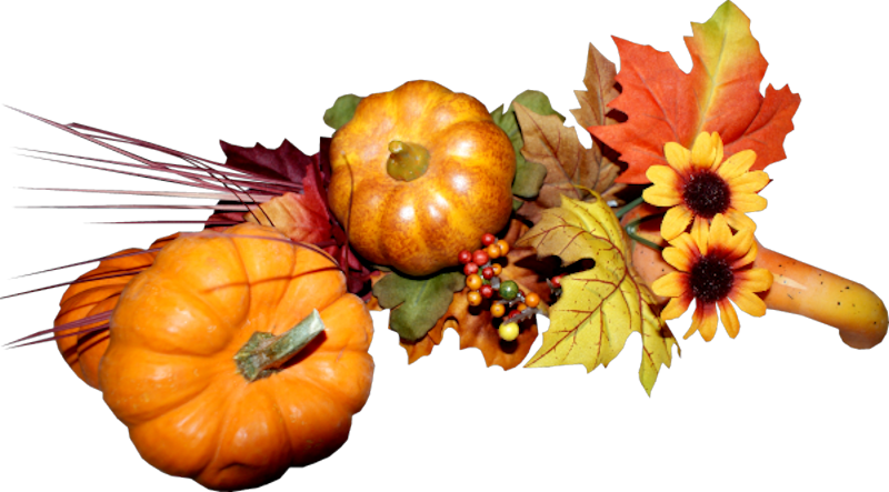 IPD_AH_Element (113)