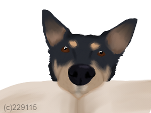 Watermark-Juniper-Book.png