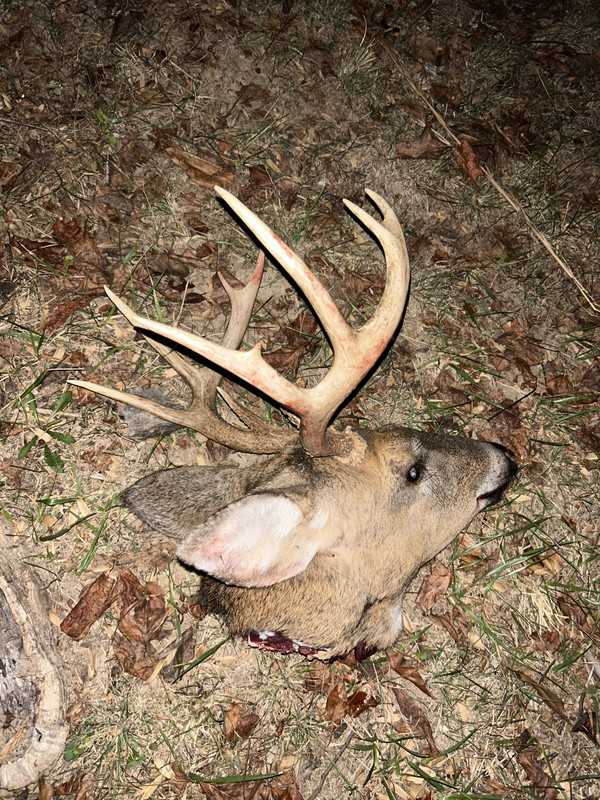 BADF9222-E212-44F1-9D9B-7299F2982643