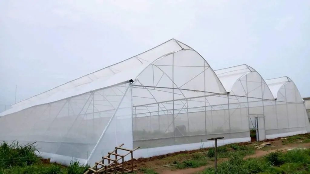 WhatsApp Image 2025-10-16 at 16.20.50