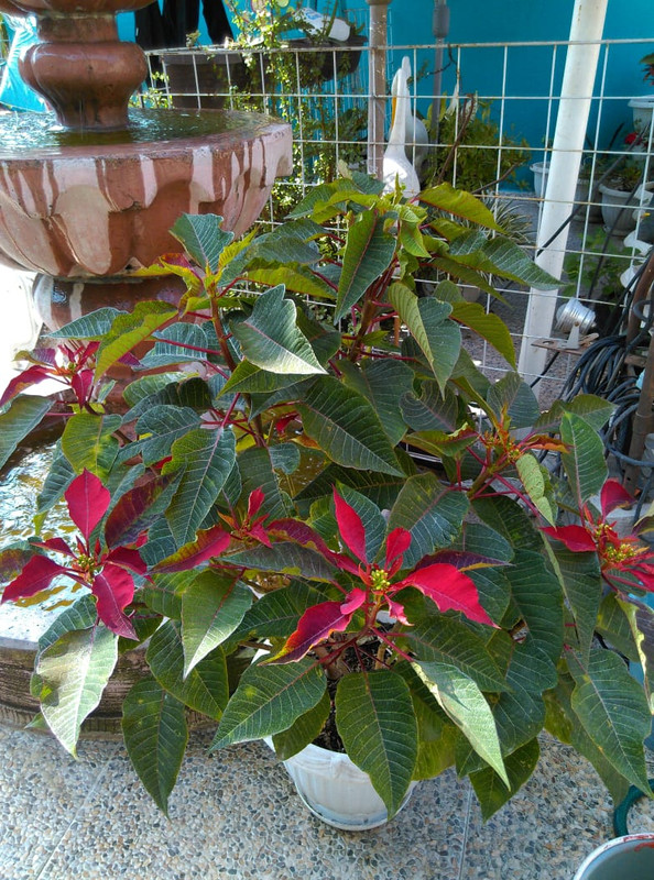 IMG-20191121-WA0018