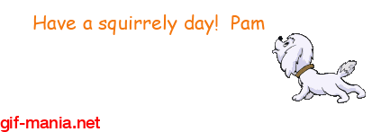 a-squirrely-day