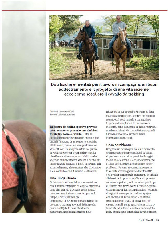 Il Mio Cav (Mar 2023) 6