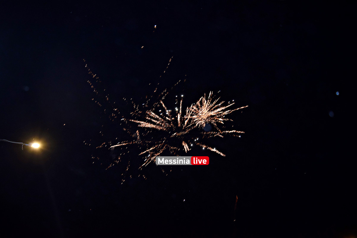 ΔΙΟΚΛΗΣ ΔΕΝΤΡΟ DSC_0005