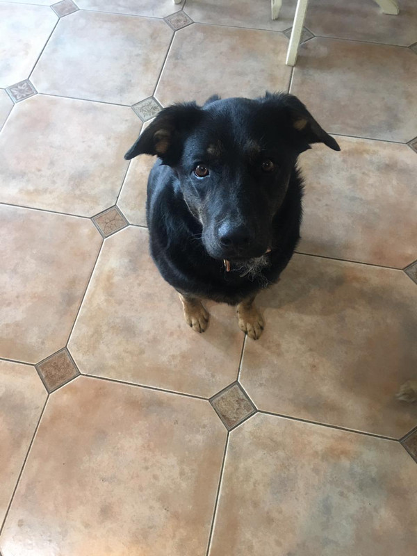 изображение_viber_2022-04-05_12-49-06-147