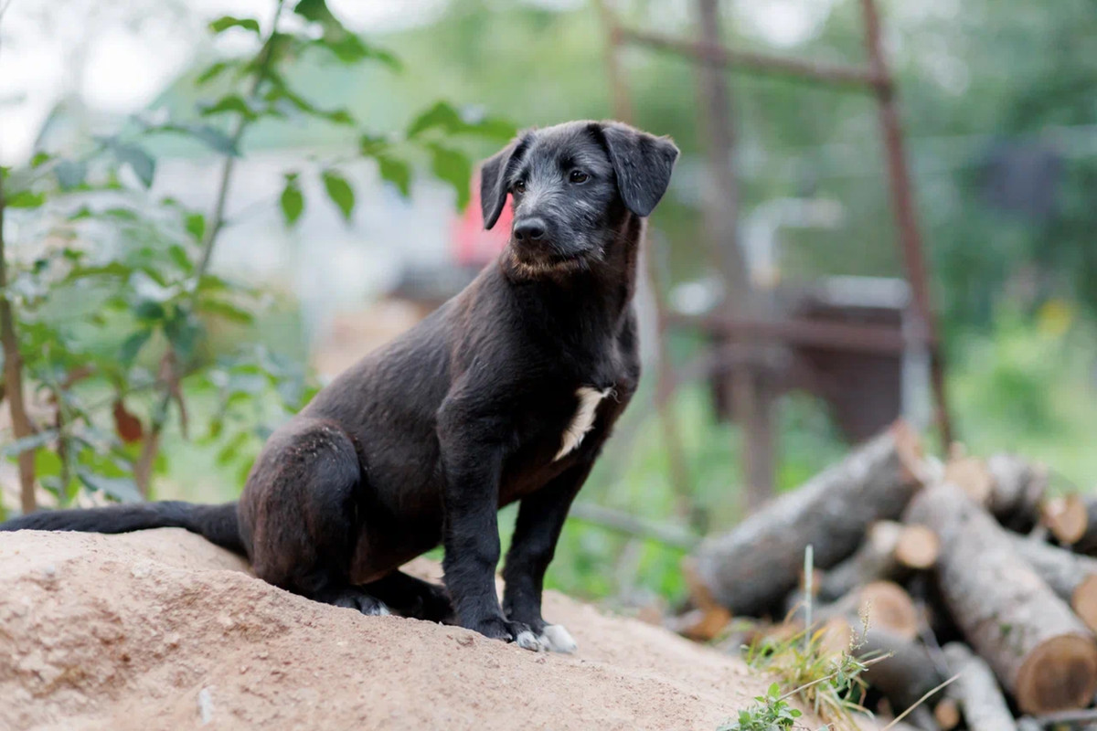 resize-image-online.com_9jpg_DtU0lPzH