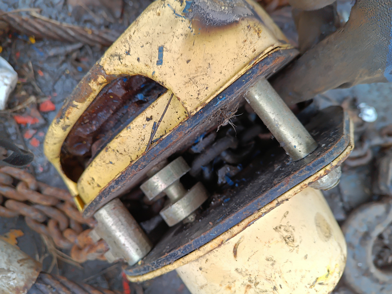 IMG 20251216 133449 737