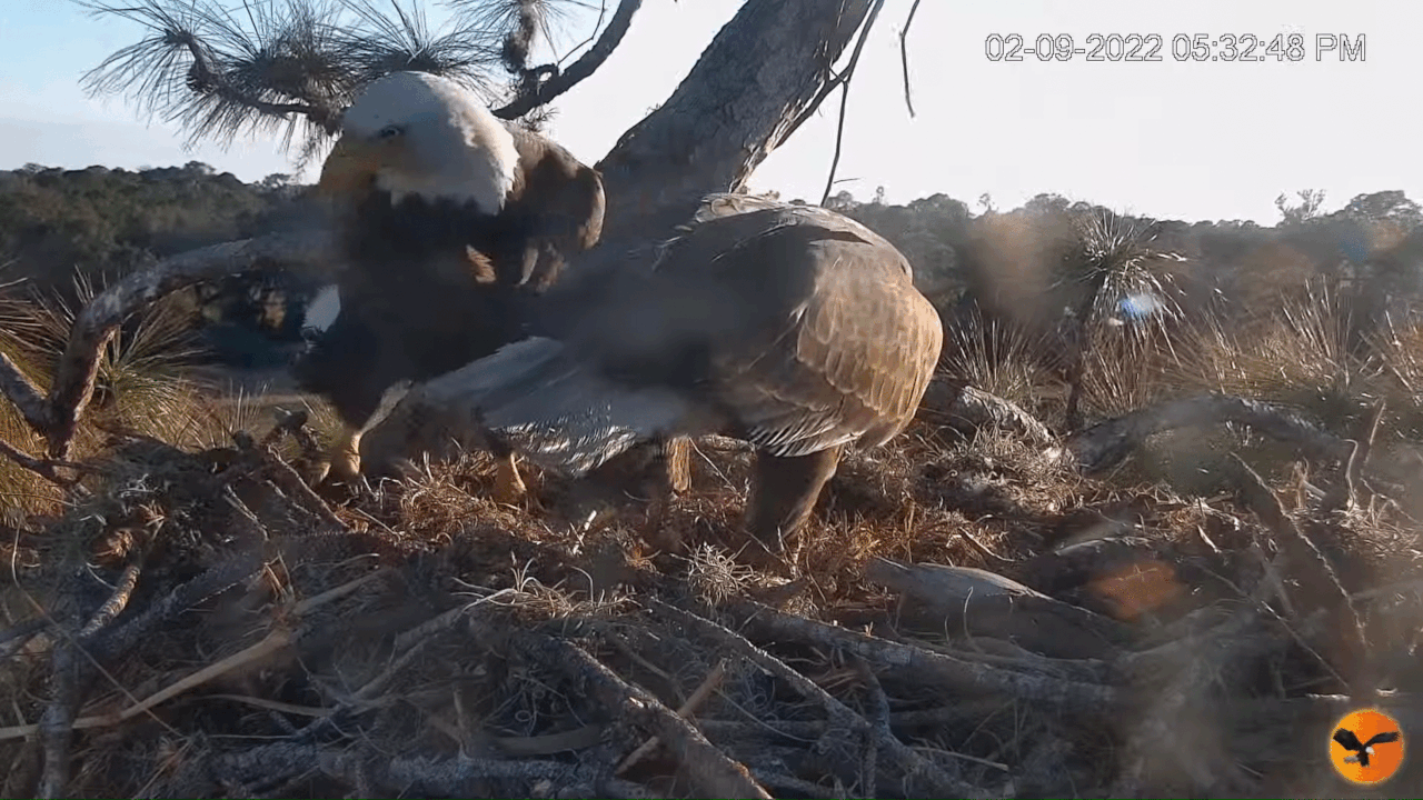 Webp.net-gifmaker (5)