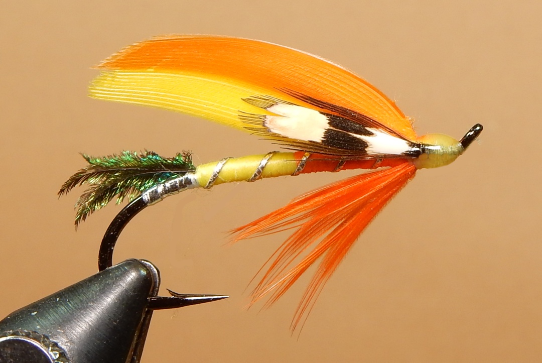 Sunfly-1080.jpg