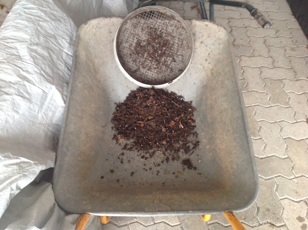 Helleborus & Schneeglöck- chen aus 1792 4.Feb.16