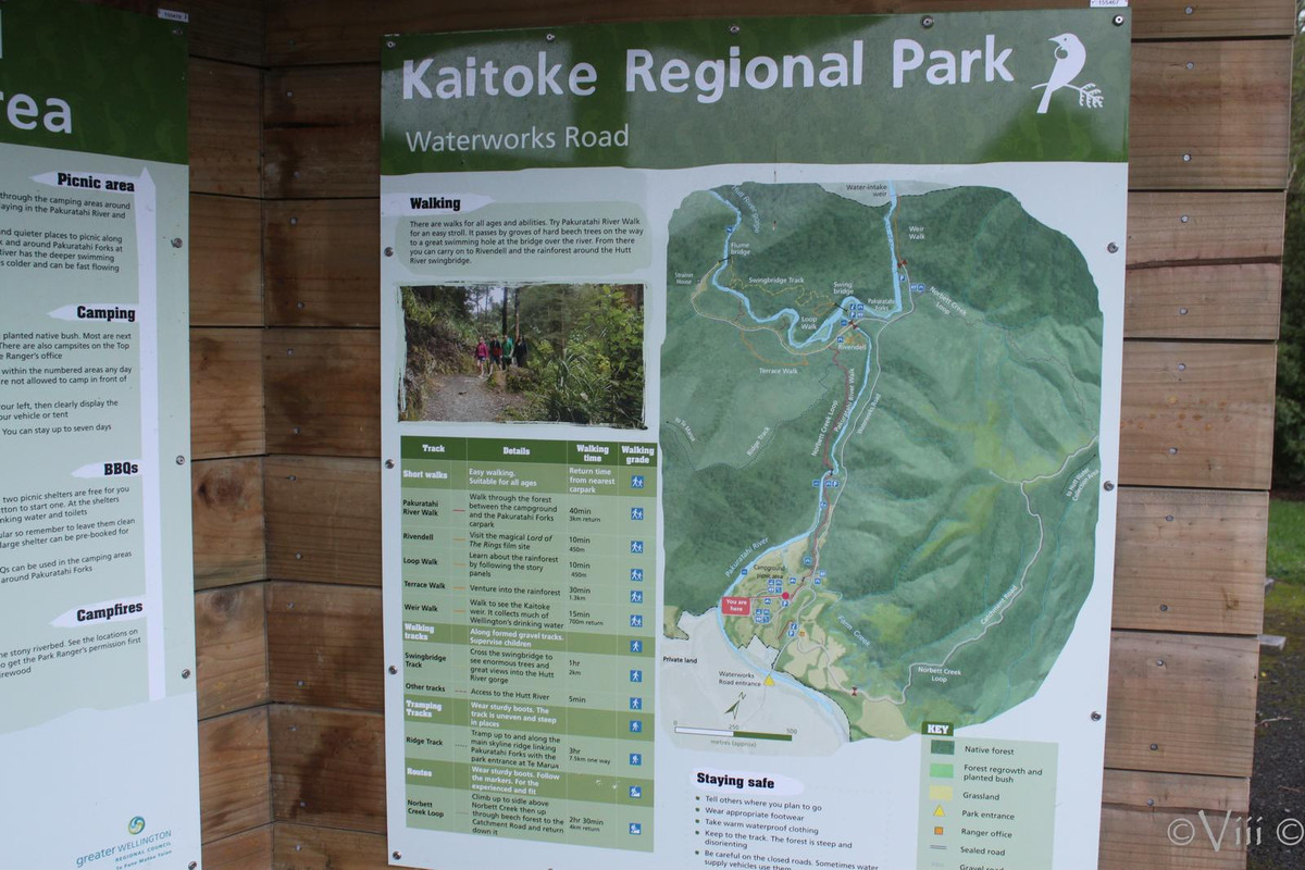 Nueva Zelanda/Islas Cook - Viaje de novios a la Tierra Media - Blogs de Nueva Zelanda - Día 5. Taranaki Falls. Noche en Kaitoke Park (norte de Wellington) (3)