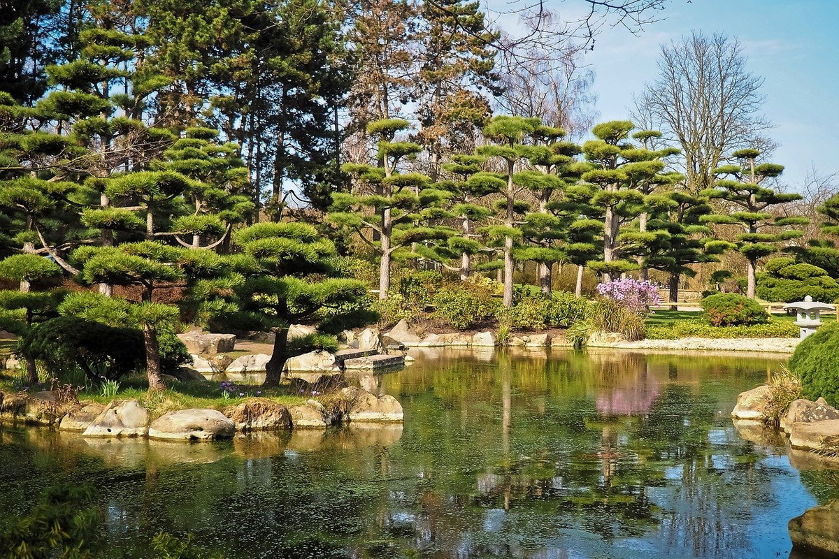 green-landscape-2139384-1280.jpg