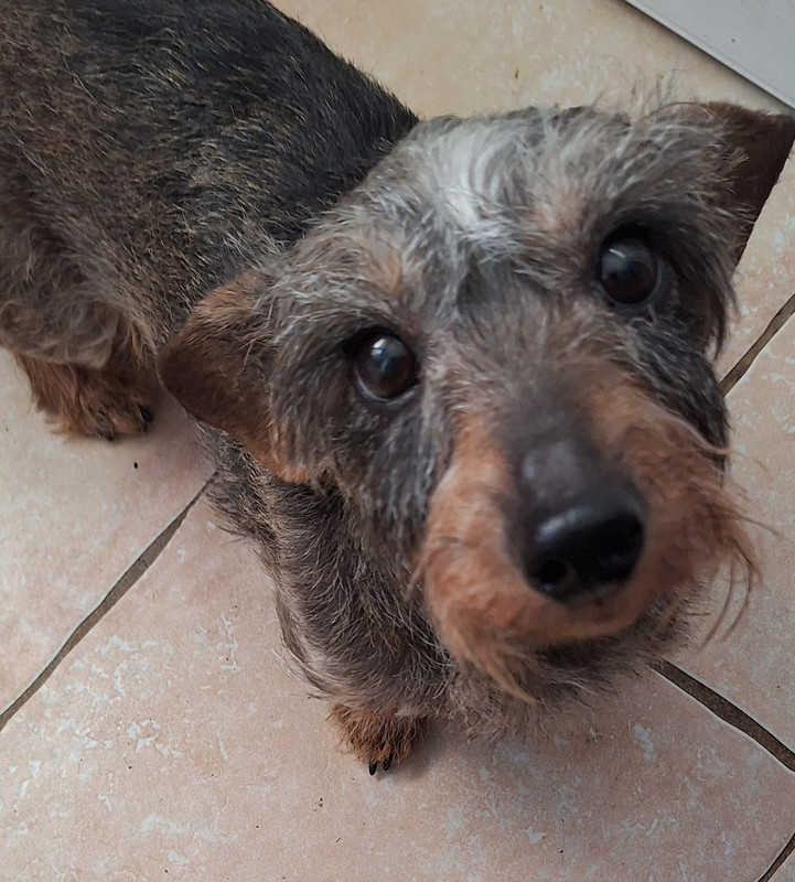 [Image: 20250317-095510.jpg]