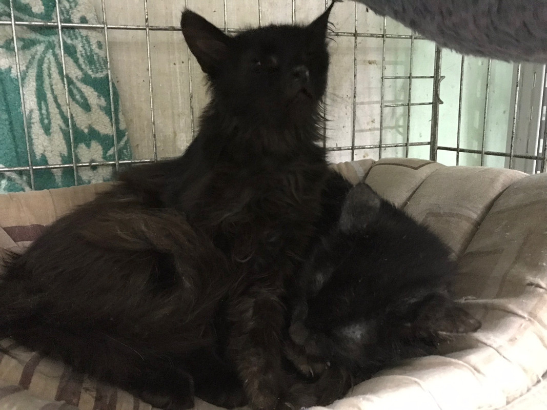 17E7A298-3B08-4D3C-BDBD-5634E6EEE74F