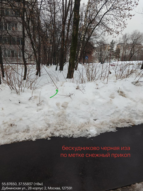 IMG 20260215 231924 380